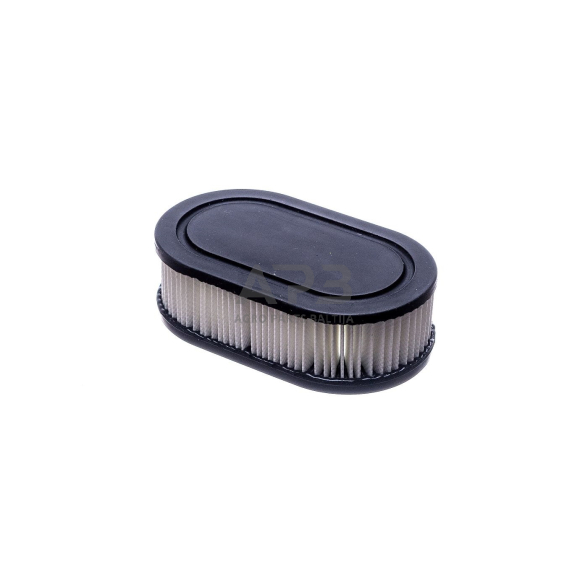Oro filtras Briggs & Stratton 550e, 550ex, 625ex, 725exi 798452, 593260 2