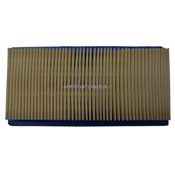 Oro filtras Briggs & Stratton 9AG Vanguard, OHV 491384 Oro filtras Briggs & Stratton 9AG Vanguard, OHV 491384