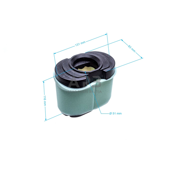 Oro filtras Briggs & Stratton INTEK V-TWIN 792105 3