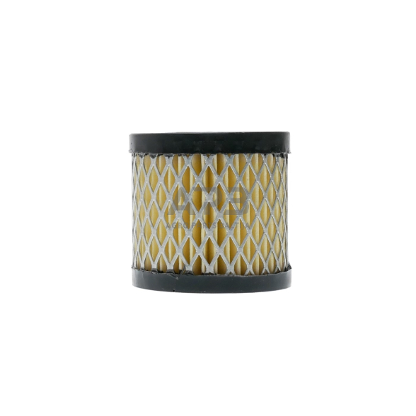 Oro filtras Briggs & Stratton nuo 5AG iki 6AG QUANTUM, EUROPA, OHV 494586, 497725 7 Oro filtras Briggs & Stratton nuo 5AG iki 6AG QUANTUM, EUROPA, OHV 494586, 497725 7