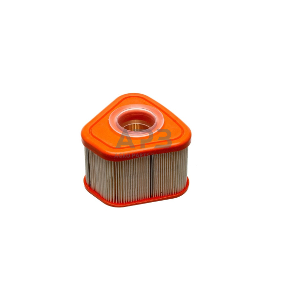 Oro filtras Briggs & Stratton SERIA 850, 597265 3
