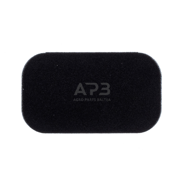 Oro filtras Honda EM2200, 17211-ZB2-000, 17211ZB2000 2