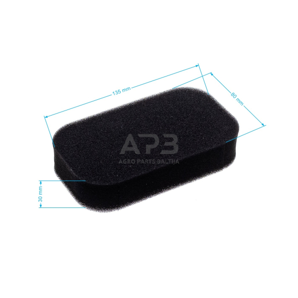 Oro filtras Honda EM2200, 17211-ZB2-000, 17211ZB2000 1