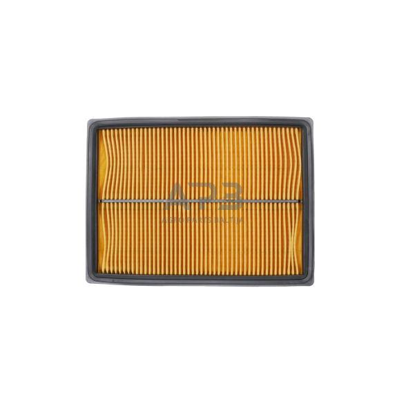 Oro filtras Honda GX610, GX620, GXV610, GXV620, 17210-ZJ1-841, 17210-ZJ1-842, 17210ZJ1841, 17210ZJ1842, išmatavimai 225 x 167 x 30 mm 5