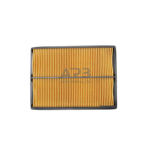 Oro filtras Honda GX610, GX620, GXV610, GXV620, 17210-ZJ1-841, 17210-ZJ1-842, 17210ZJ1841, 17210ZJ1842, išmatavimai 225 x 167 x 30 mm 6