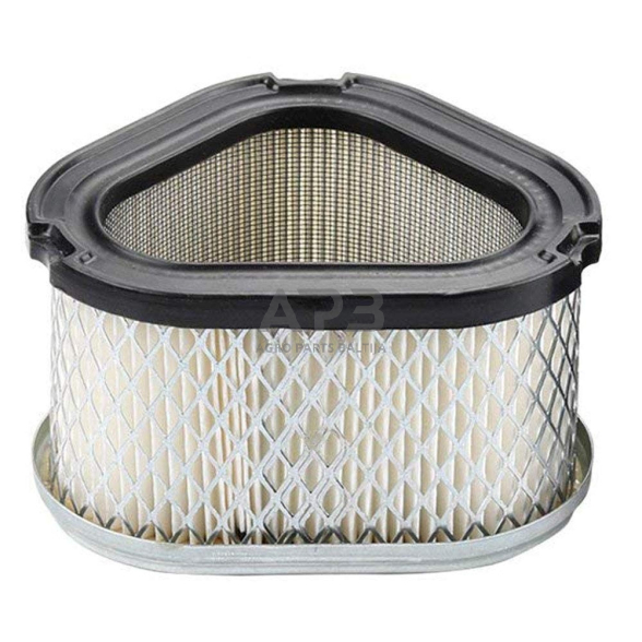 Oro filtras Kohler CV 11, CV 12.5, CV 13, CV 14 CV 15, CV 16, K 532, K 582, 12 083 04, 1208304, 12 083 05, 1208305, 12 083 05-S, 1208305S, 12 083 09, 1208309, 12 083 14, 1208314, 12 883 05-S1, 1288305S1, 12 883-051, 12883051 išmatavimai 115 x 71 x 95 mm