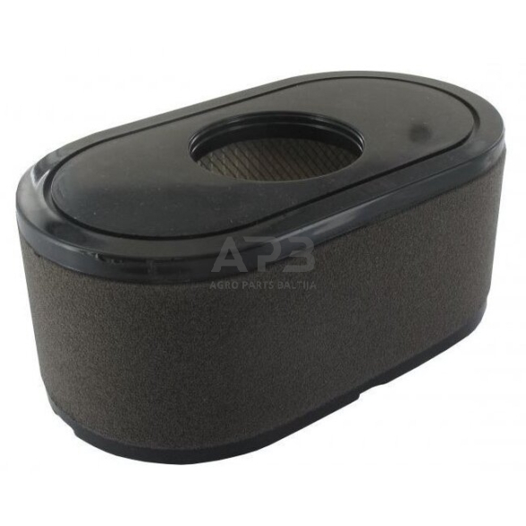 Oro filtras Loncin LC2P73F, LC2P76F 180100123-0001, 180100123-T465 Oro filtras Loncin LC2P73F, LC2P76F 180100123-0001, 180100123-T465