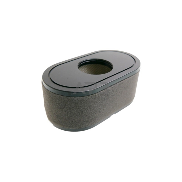 Oro filtras Loncin LC2P73F, LC2P76F 180100123-0001, 180100123-T465 1