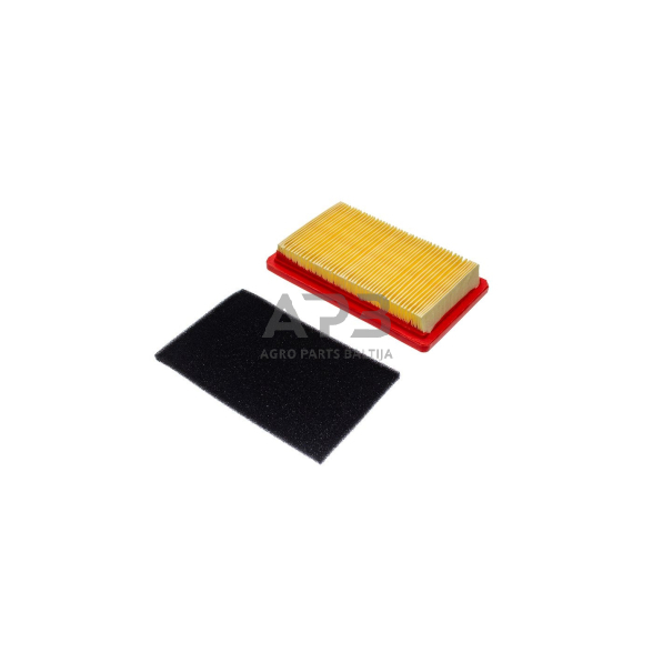 Oro filtras Tecumseh HH80, HH100, HH120, VH80, VH100, 31925, išmatavimai 60 x 111 x 76 mm 4