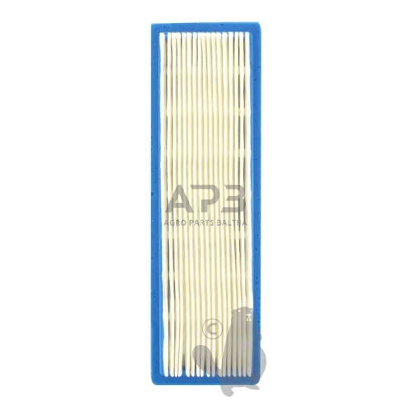 Oro filtras Tecumseh Premier, 23410044, išmatavimai 180 x 55 x 28 mm Oro filtras Tecumseh Premier, 23410044, išmatavimai 180 x 55 x 28 mm