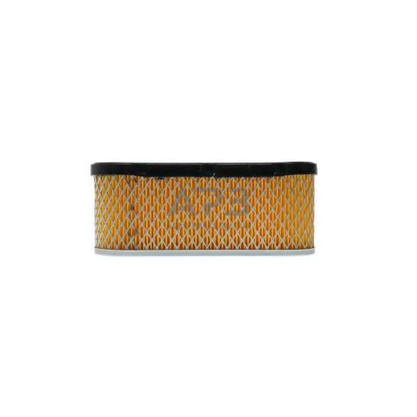 Oro filtras Tecumseh OHV 36356, išmatavimai 181 x 70 x 78 mm 4
