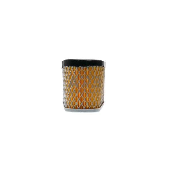 Oro filtras Tecumseh OHV 36356, išmatavimai 181 x 70 x 78 mm 7