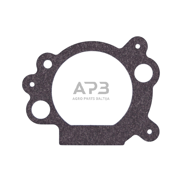 Oro filtro tarpinė Briggs & Stratton: 110000, 111000, 692667 1