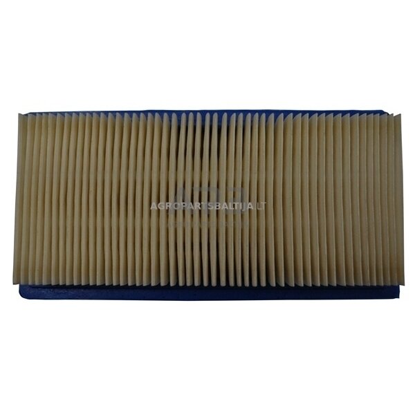 Oro filtras Briggs & Stratton 9AG Vanguard, OHV 491384