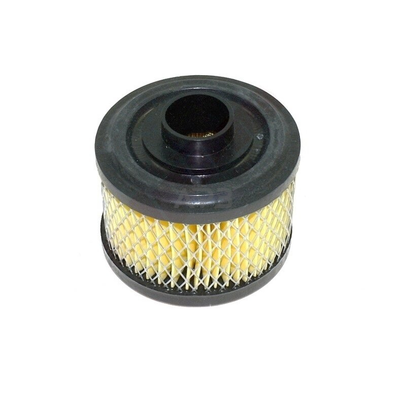 Oro filtras Briggs & Stratton 270209, 496047 Oro filtras Briggs & Stratton 270209, 496047