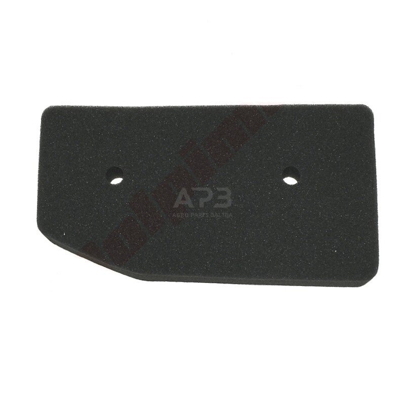 Oro filtras Honda EU6500 17211-Z11-000, 17211Z11000