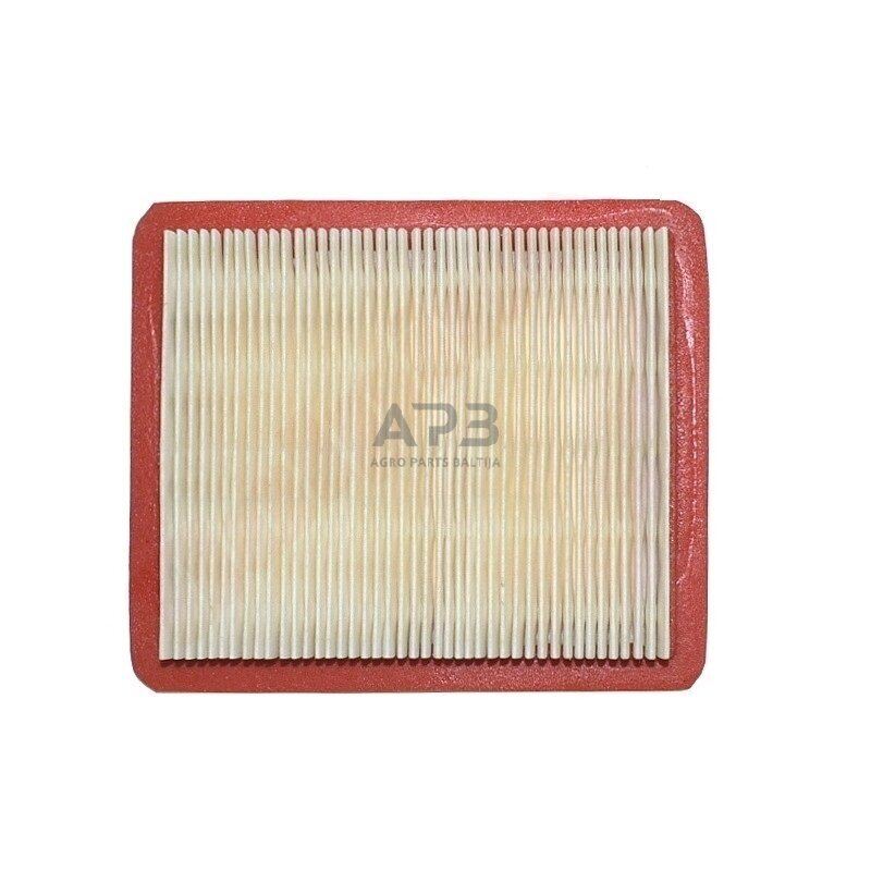 Oro filtras Honda GCV190 išmatavimai mm: 134x113x22 17211-Z8B-901, 17211Z8B901