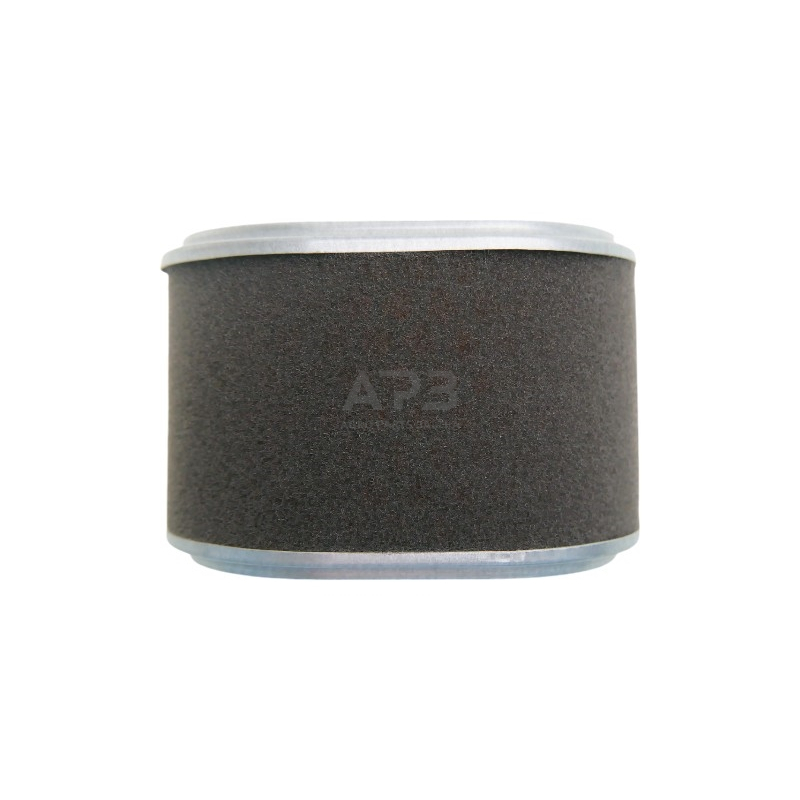 Oro filtras Loncin G160F, G200F, LC168F, 180100034-0001, 1801000340001, 180100034-T040, 180100034T040, 180100167-0001, 1801001670001 2