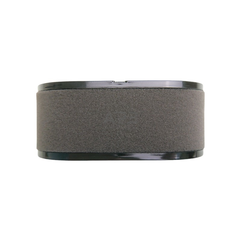 Oro filtras Loncin LC2P73F, LC2P76F 180100123-0001, 180100123-T465 2