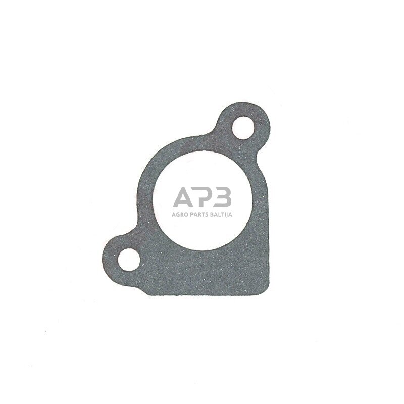 Oro filtro tarpinė Briggs & Stratton 272199S