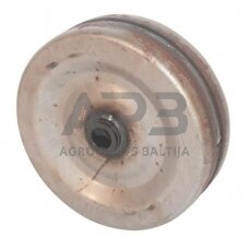 Plieninis ratukas 250x100 BW250100N