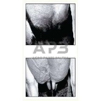 Plaukelių šalinimo nuo tešmens aparatas 3m žarna Kerbl VV15675 4 Plaukelių šalinimo nuo tešmens aparatas 3m žarna Kerbl VV15675 4