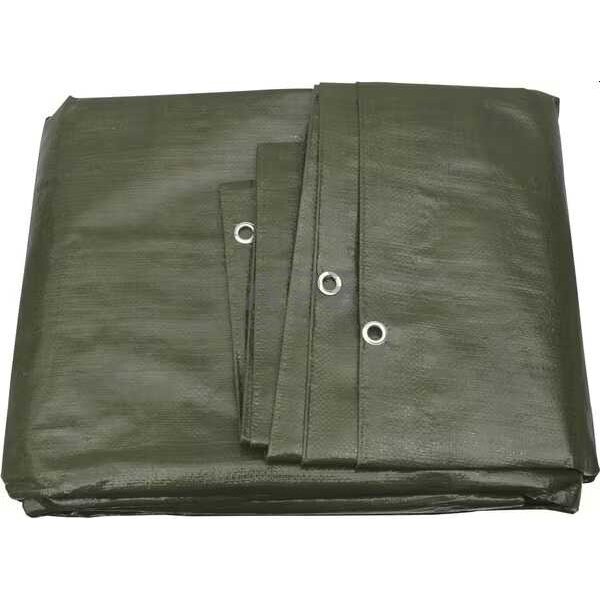 Priekabos tentas 5x4m T400500100KR