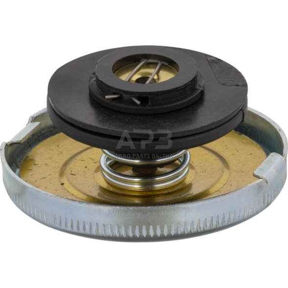 Radiatoriaus dangtelis 81711544N 1 Radiatoriaus dangtelis 81711544N 1