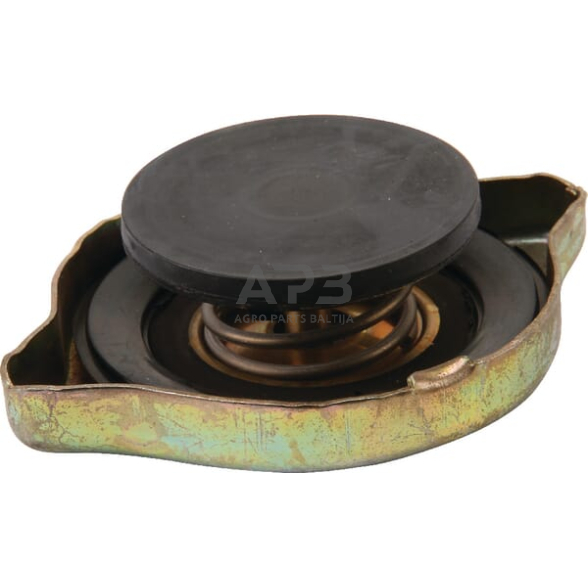 Radiatoriaus dangtelis CNH 199112530139 1 Radiatoriaus dangtelis CNH 199112530139 1