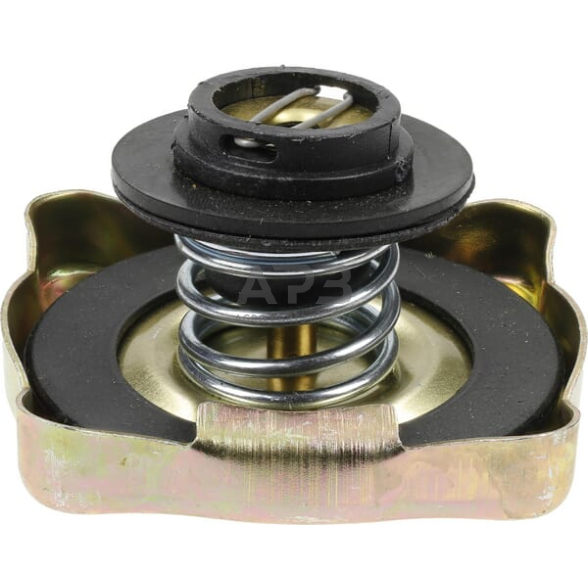 Radiatoriaus dangtelis RC15001N 1 Radiatoriaus dangtelis RC15001N 1