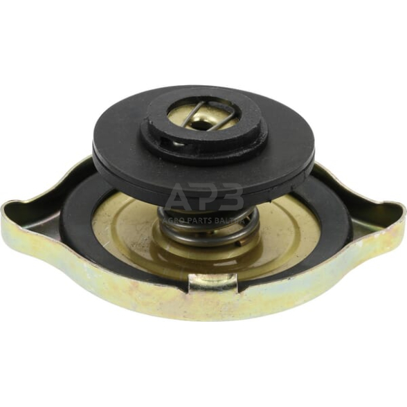 Radiatoriaus dangtelis RC15006N 1 Radiatoriaus dangtelis RC15006N 1