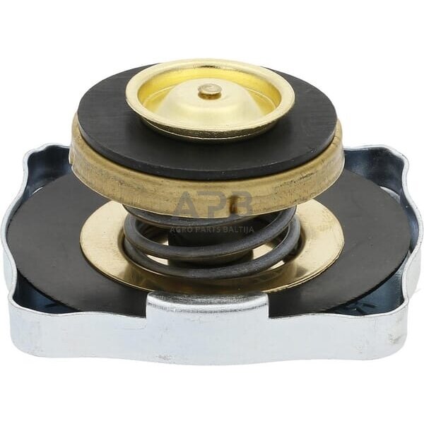 Radiatoriaus dangtelis 4999682N 1 Radiatoriaus dangtelis 4999682N 1