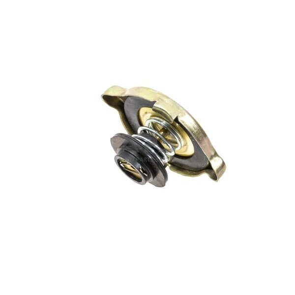 Radiatoriaus dangtelis 81747955N Radiatoriaus dangtelis 81747955N