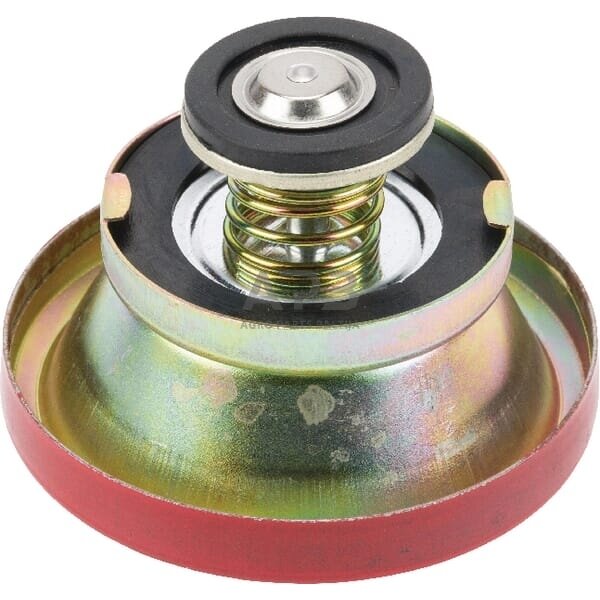 Radiatoriaus dangtelis gopart 1874445M94GP 1 Radiatoriaus dangtelis gopart 1874445M94GP 1