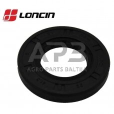 Riebokšlis Loncin LC1P65FE, 380650834-0001, 3806508340001, išmatavimai: 22 x 41,3 x 6 mm