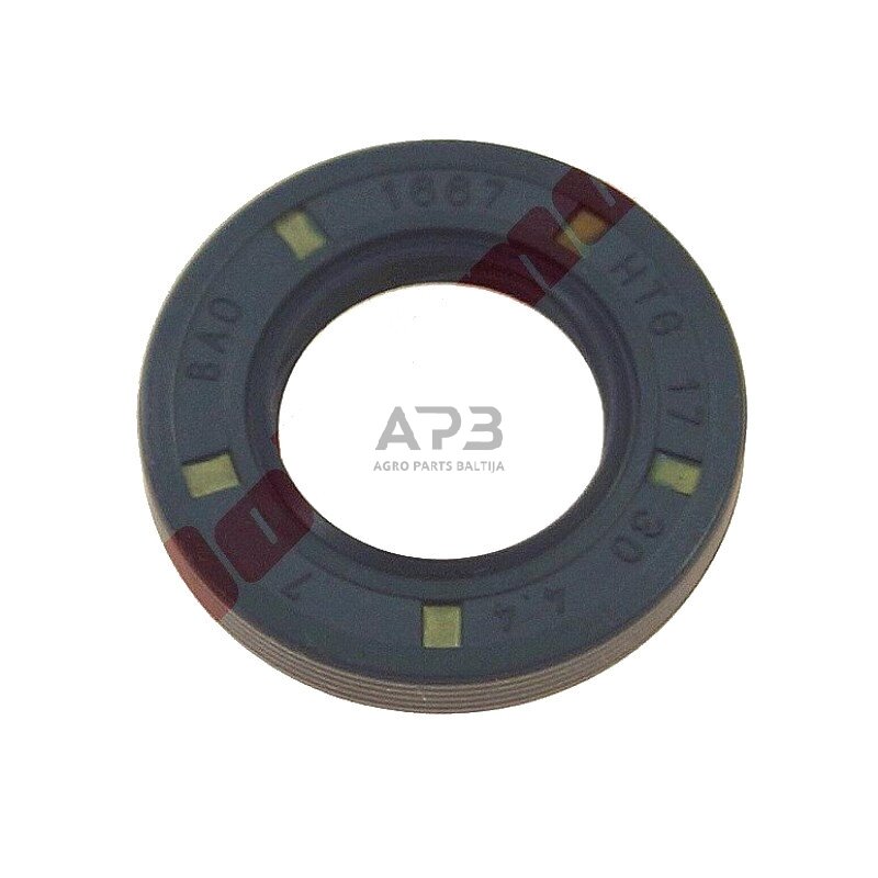 Riebokšlis pjūklams STIHL MS310, 17,00 x 30,00 x 4,40 mm 9639 010 1743, 96390101743, 9639 003 1743, 96390031743