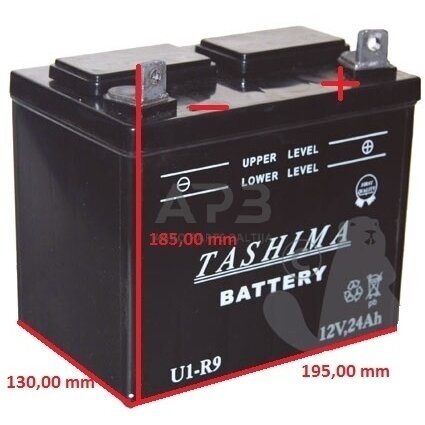 Rūgštinis žoliapjovės traktoriuko akumuliatorius 12V 24 Ah + polius dešinėje pusėje 195,00 x 130,00 x 185,00 Rūgštinis žoliapjovės traktoriuko akumuliatorius 12V 24 Ah + polius dešinėje pusėje 195,00 x 130,00 x 185,00