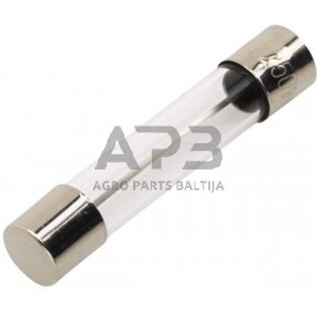 Saugiklis stiklinis 10A, 32mm 50x Hella 8JS713805003