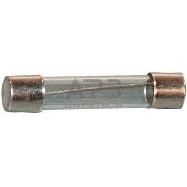 Saugiklis stiklinis 10A, 32mm 25x SI23516