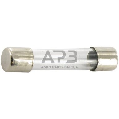 Saugiklis stiklinis 25A, 32mm 25x SI23519