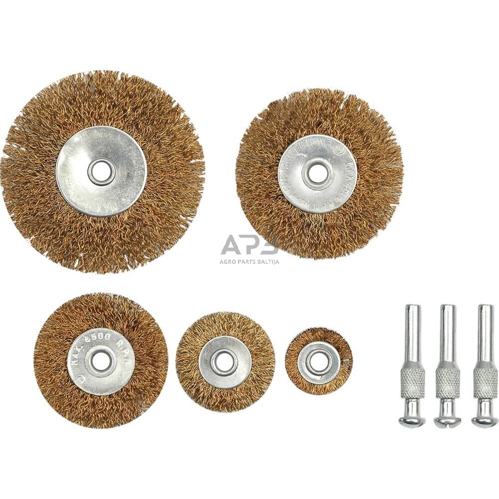 Šepečių vielinių rinkinys su koteliu (5vnt)