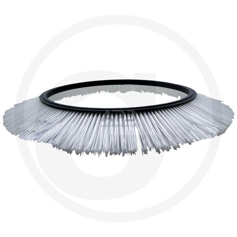 Šepečio žiedas Tuchel, Westerman