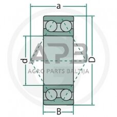 SKF dvieilis rutulinis guolis 3205