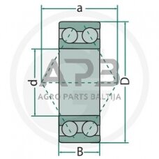 SKF dvieilis rutulinis guolis 3209