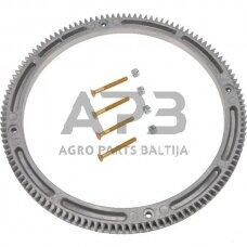 Smagračio dantys Briggs & Stratton 391362