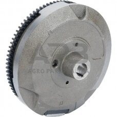 Smagratis Briggs & Stratton 591761