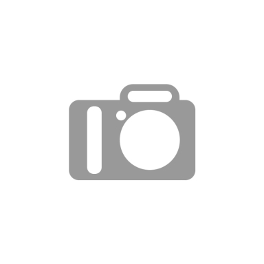 Smagratis pjūklams STIHL MS250 1123 400 1203, 11234001203, 1123 400 1201, 11234001201