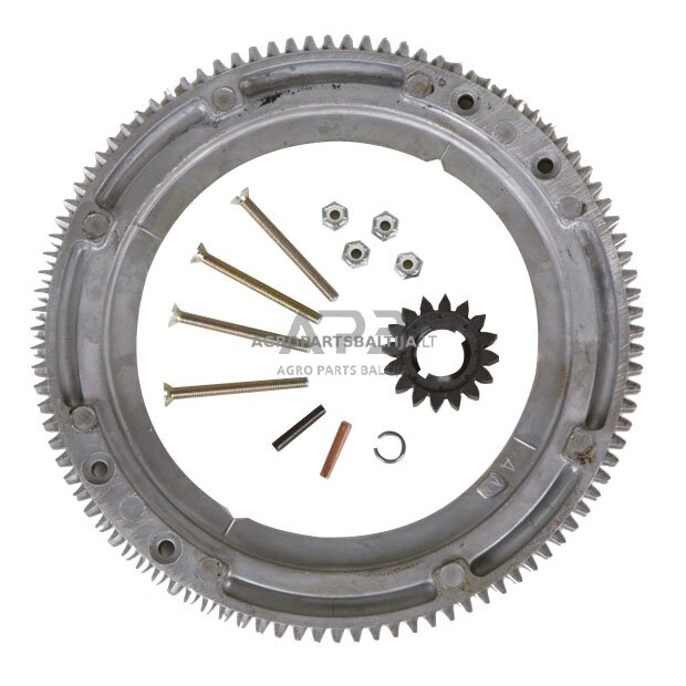 Smagračio dantys Briggs & Stratton varikliams,100 dantų, krumpliaratis su 16 dantų, modeliams: 192400, 28B, 28D, 28M, 28N, 28P, 28Z, 192400, 196400, 257400, 257400, 286700,289700 392134, 399676, 696537 Smagračio dantys Briggs & Stratton varikliams,100 dantų, krumpliaratis su 16 dantų, modeliams: 192400, 28B, 28D, 28M, 28N, 28P, 28Z, 192400, 196400, 257400, 257400, 286700,289700 392134, 399676, 696537