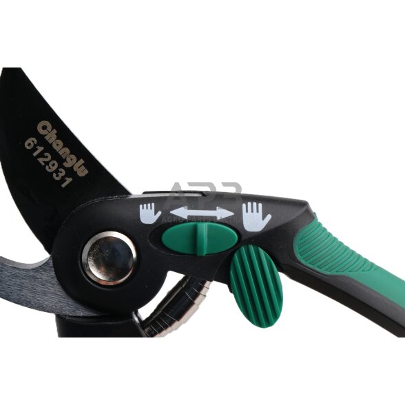 Sodo žirklės - sekatorius 210mm (lenktos) 2