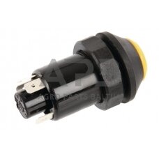 Spaudžiamas jungiklis Pneutron 11110430PN